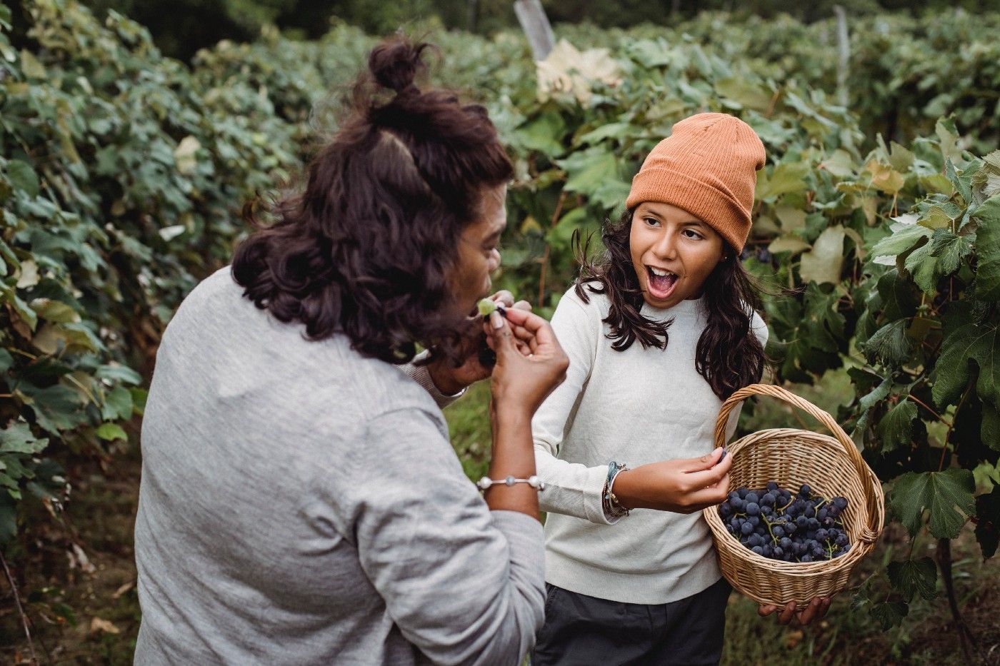 Natural Cultivating for Fledglings