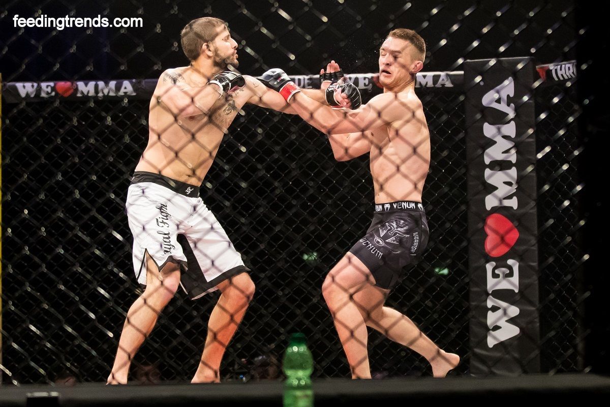 Top UFC Fighters By Their Fighting Style