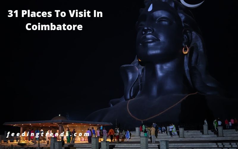 31 Places To Visit In Coimbatore That Are Worth To Visit