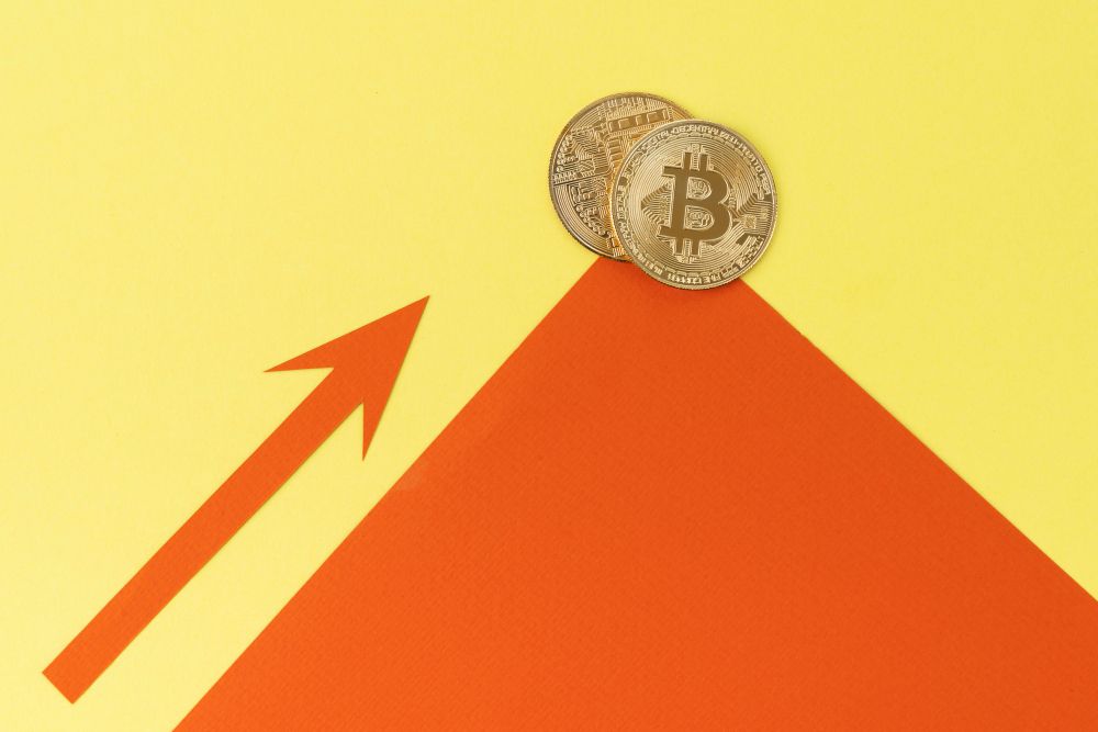 How Can a White Label Crypto Exchange Help You Launch and Earn in Just Days?