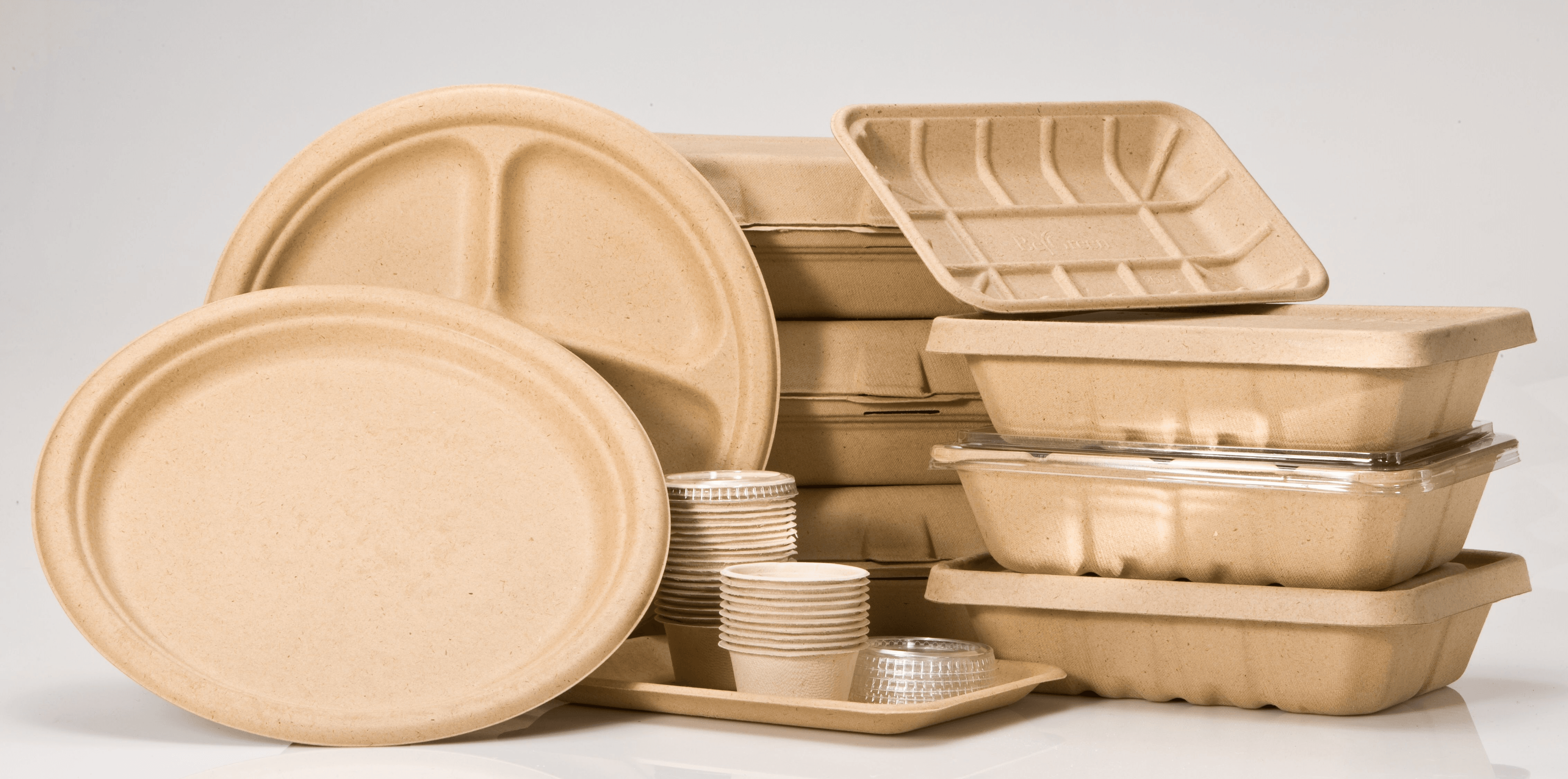Biodegradable Packaging Market Worth Us$ 117.8 Billion by 2027