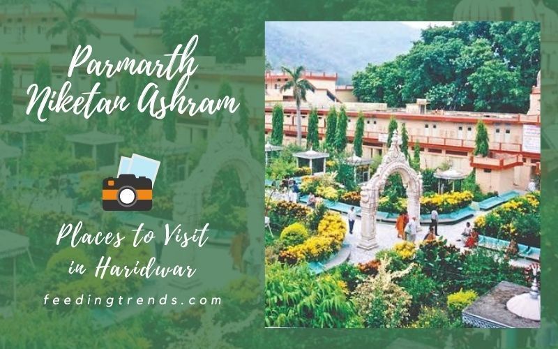 40 Places To Visit In Haridwar To Discover Peace On Earth