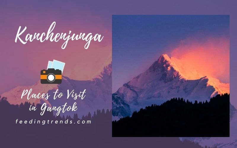 37 Places To Visit In Gangtok That You Must Explore