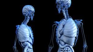 Can 3-D Digital Imaging X-Ray Analysis Improve Care?