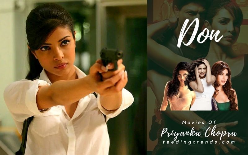27 Priyanka Chopra Movies That Made Her Everyone's Favorite
