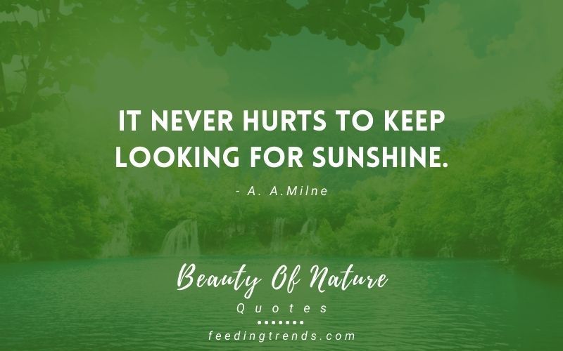 68 Inspiring Quotes About Beauty Of Nature
