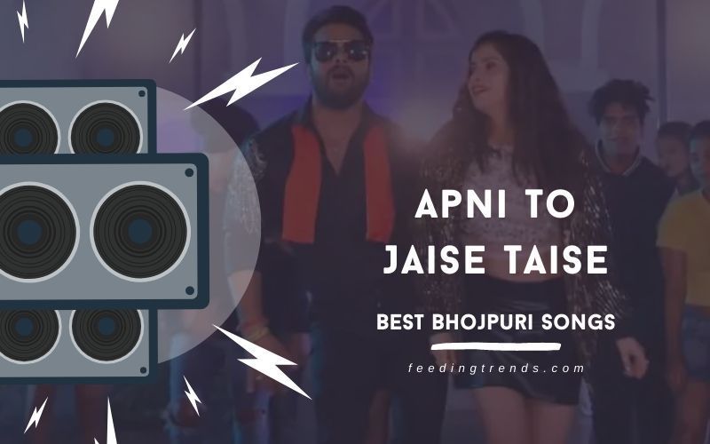 30 Best Bhojpuri Songs Full Of Energy
