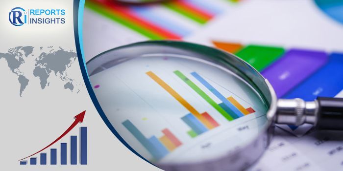 u.s Riboflavin Market Value Chain Analysis 
