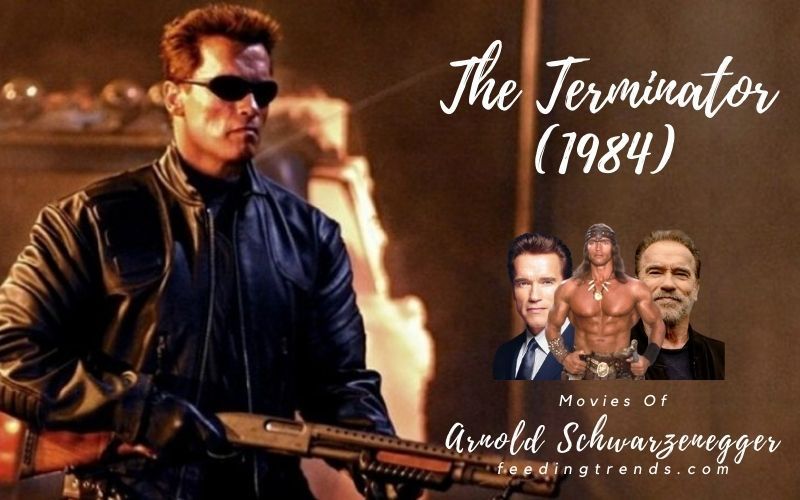 18 Arnold Schwarzenegger Movies That Makes Him Best In The League