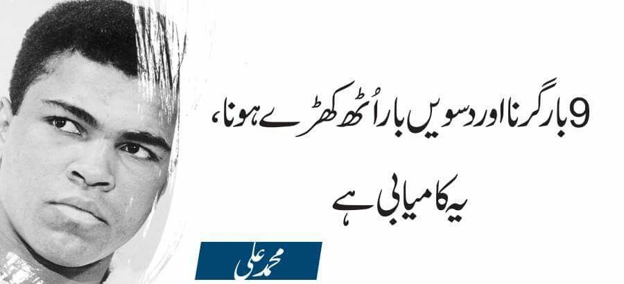 2022’s Best Social Networking Scripts