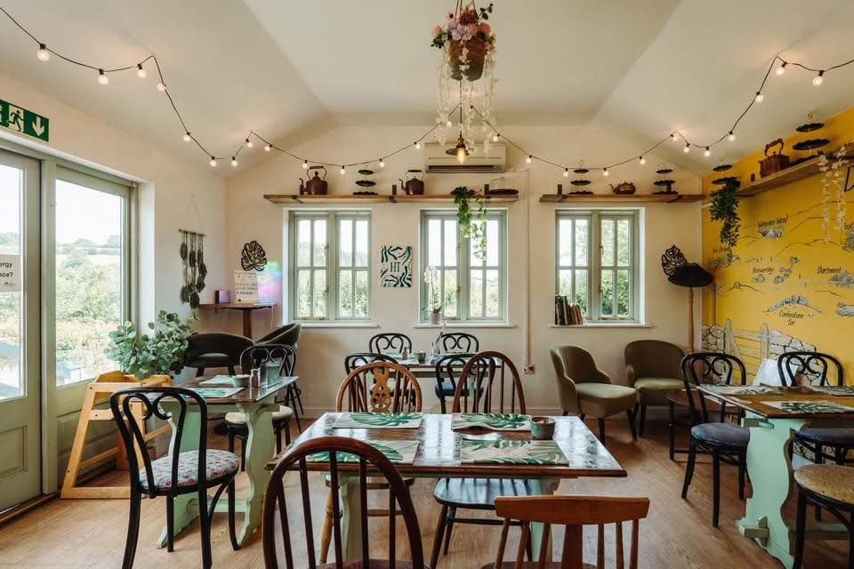 How to Choose the Best Countryside Tea Room Devon for Your Next Day Out