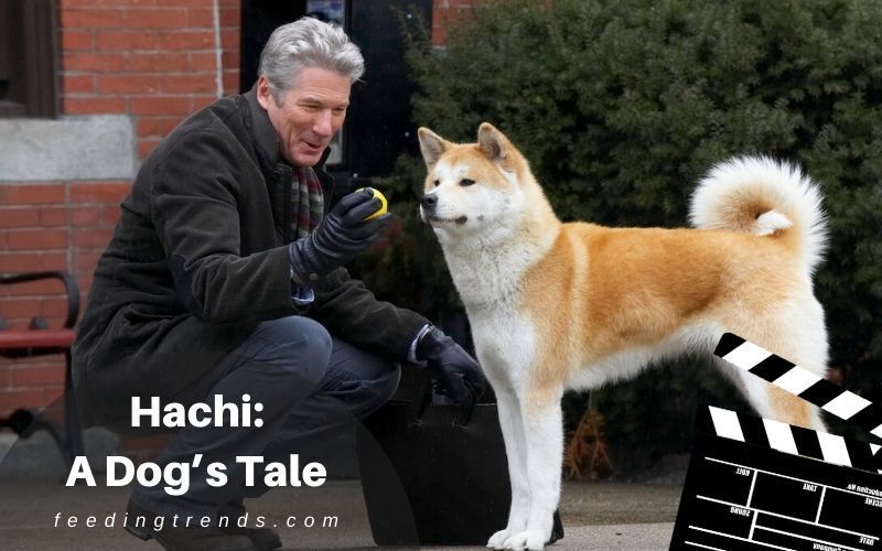 47 Best Hollywood Drama Movies Of All Time To Watch