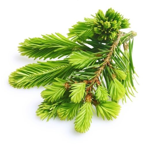 Base Oil Market Growth, Trends,  Opportunity Chain 2022-2030
