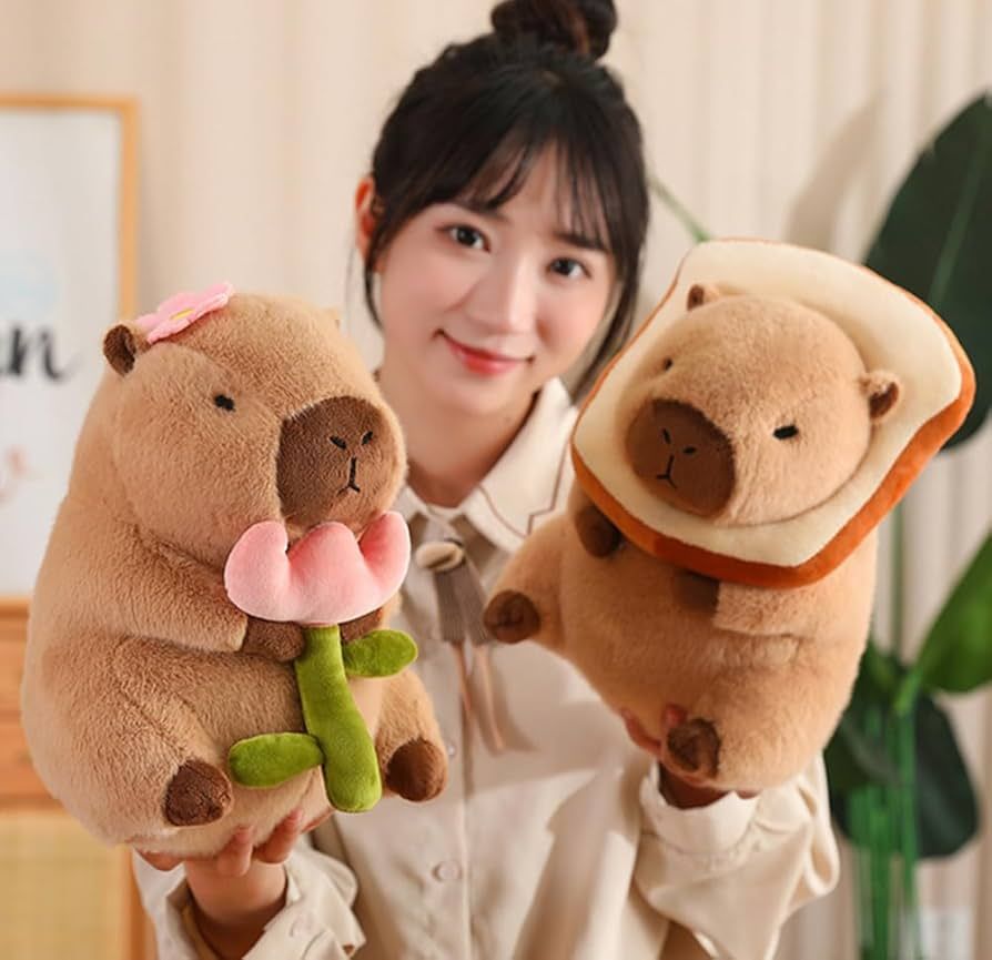 Capybara stuff toys