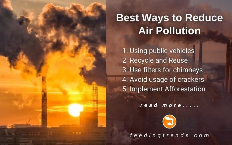 Pollution Types, Sources And Ways To Reduce It