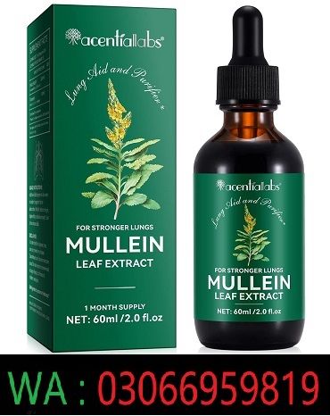 Mullein Leaf Extract In Pakistan |  03066959819 | Stock New