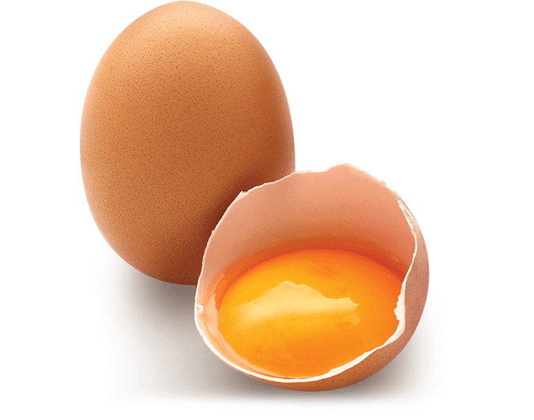 Egg-Sell Your Business: Wholesale Egg Suppliers in Singapore