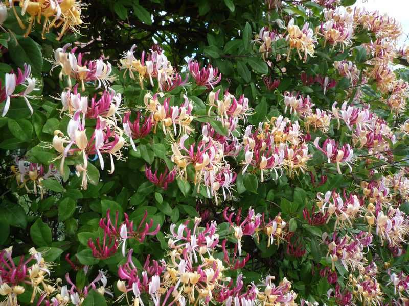 The Best Travel Agency in Qatar for Unforgettable Journeys