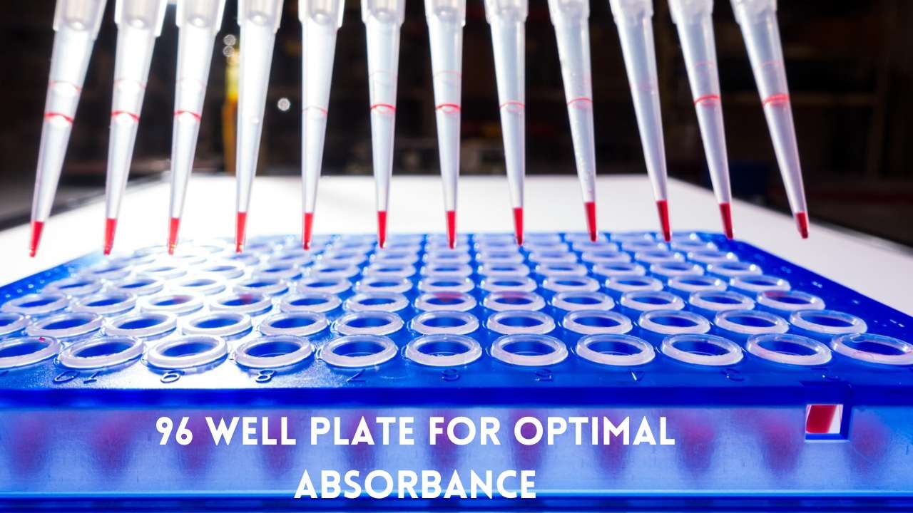 96 Well Plate for Optimal Absorbance