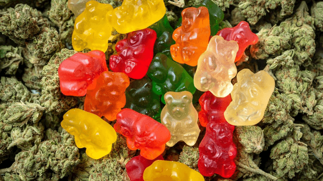 Acv  Keto Gummies Canada