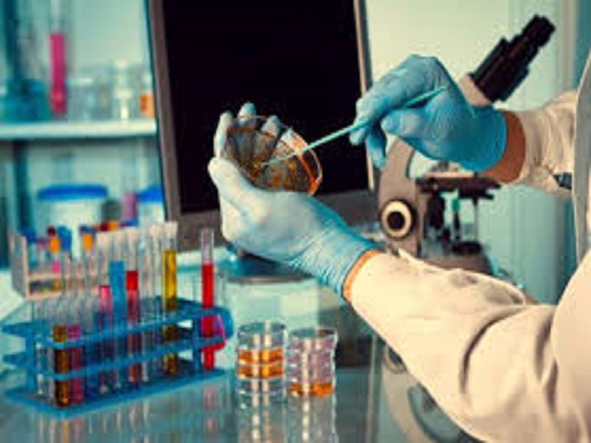 Adme Toxicology Testing Market Overview & Global Forecast to 2028