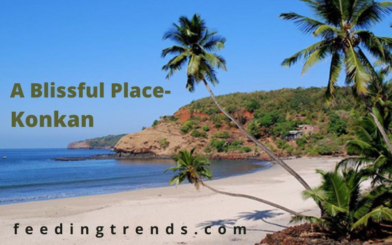 A Blissful Place- Konkan
