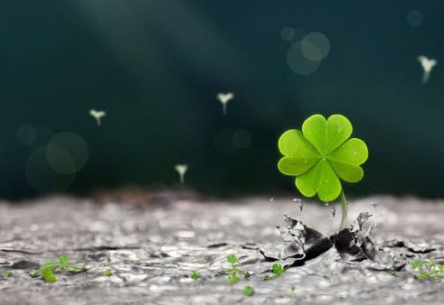 7 Days Slower, a New View of Life