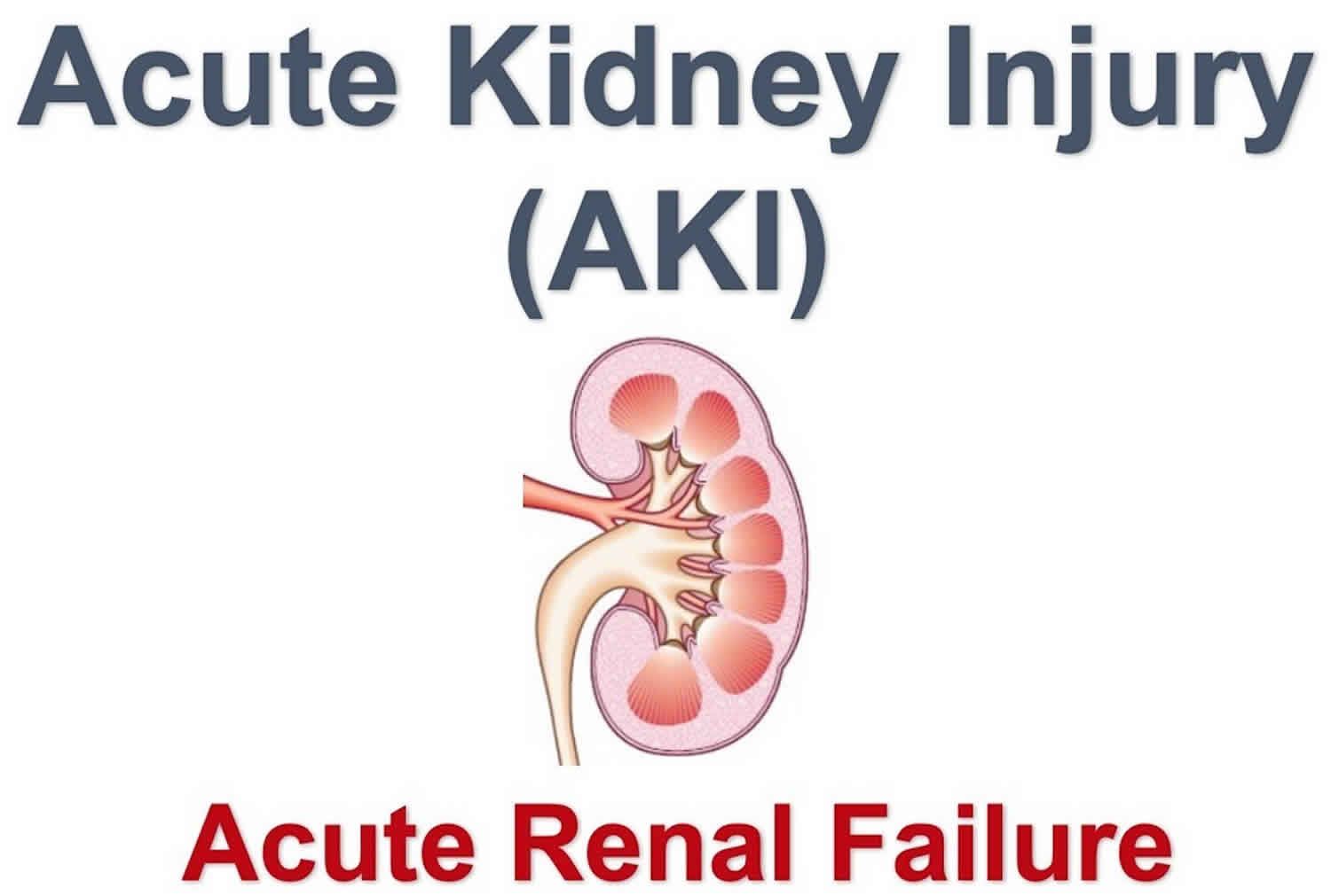 Acute Kidney Injury Treatment Market |  Trends, Forecast to 2028