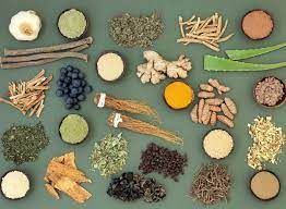 Adaptogens Market Growth & Global Forecast Report to 2028
