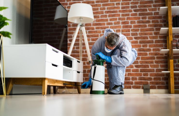 6 Possible Reasons You Might Be Dealing With a Pest Infestation