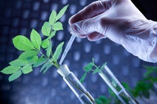 Agricultural Biotechnology Market  Globally Expected to 2023-2030