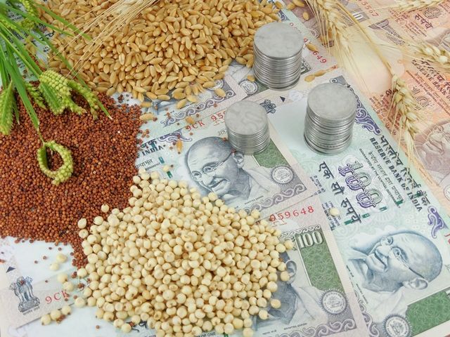 Agricultural Commodities Market Trends & Forecast Report to 2028