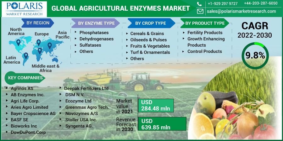 Agricultural Enzymes Market Regional Outlook, Application 