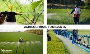 Agricultural Fumigants Market Growth | Research Report, 2028