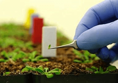 Agricultural Nanotechnology Market 2020 Major Key Players  2028
