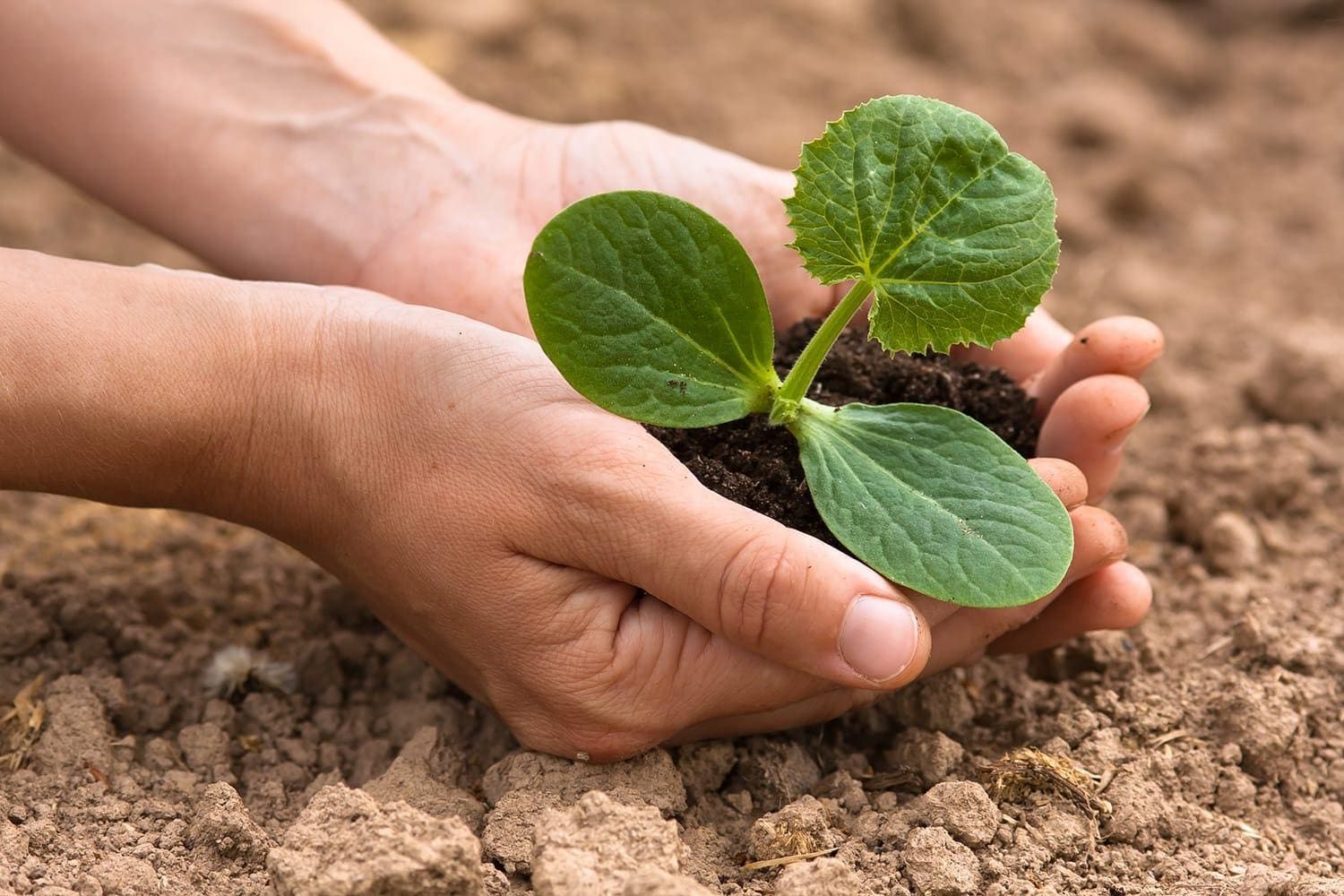 Agriculture Analytics Market Size and Growth Analysis Report 
