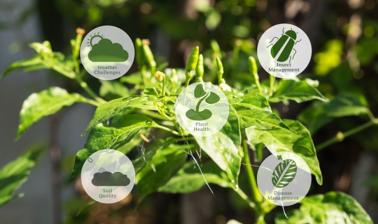 Agriculture Iot Market Key Players Analysis Report Till 2028
