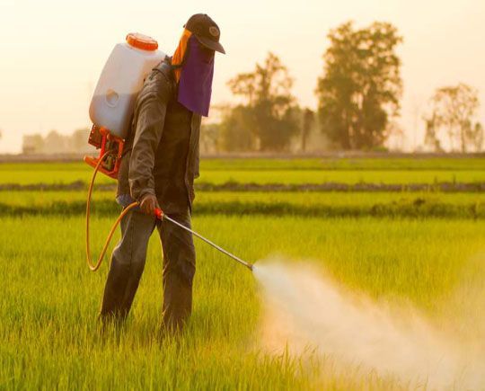 Agrochemicals Services Market 2022 - Top Key Players Analysis