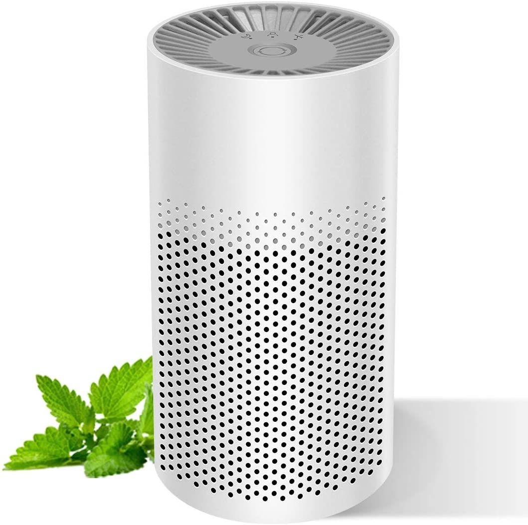 Air Cleaner Market - Global Industry Analysis Report 2021-2028