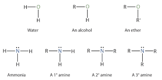 Amines Market Size, Industry Share | Forecast, 2028