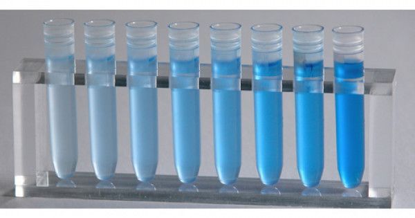 Amino Acid Assay Kits Market Report 2021-2028