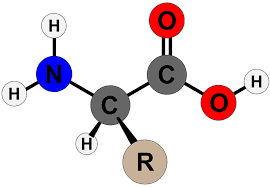 Amniotic Products Market 2020 Major Key Players Till 2028