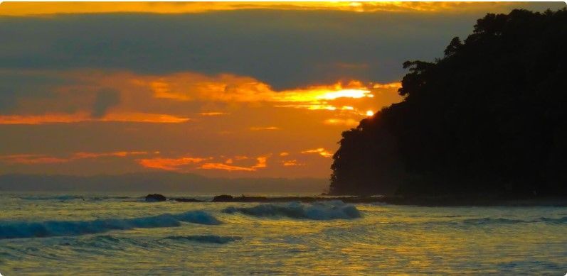 Andaman or Goa: Which Is Better for Your Vacation?