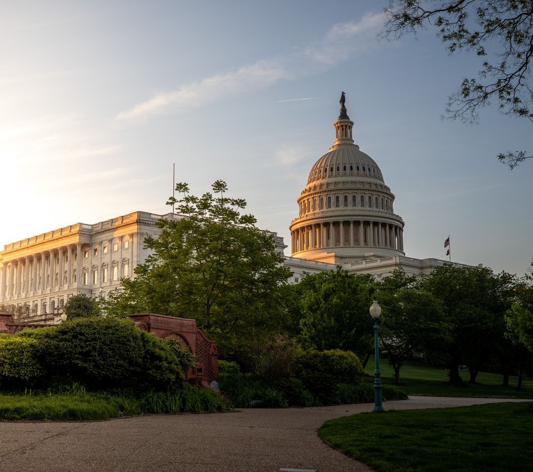 The Many Types of Government Systems in the World, Explained