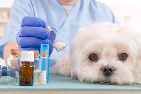 Animal Drug Compounding Market Industry Forecast Report, 2028
