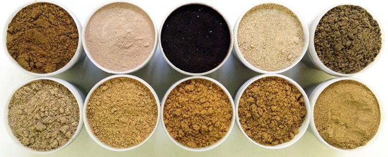 Report on Animal Feed Protein Ingredients Market Research 2028
