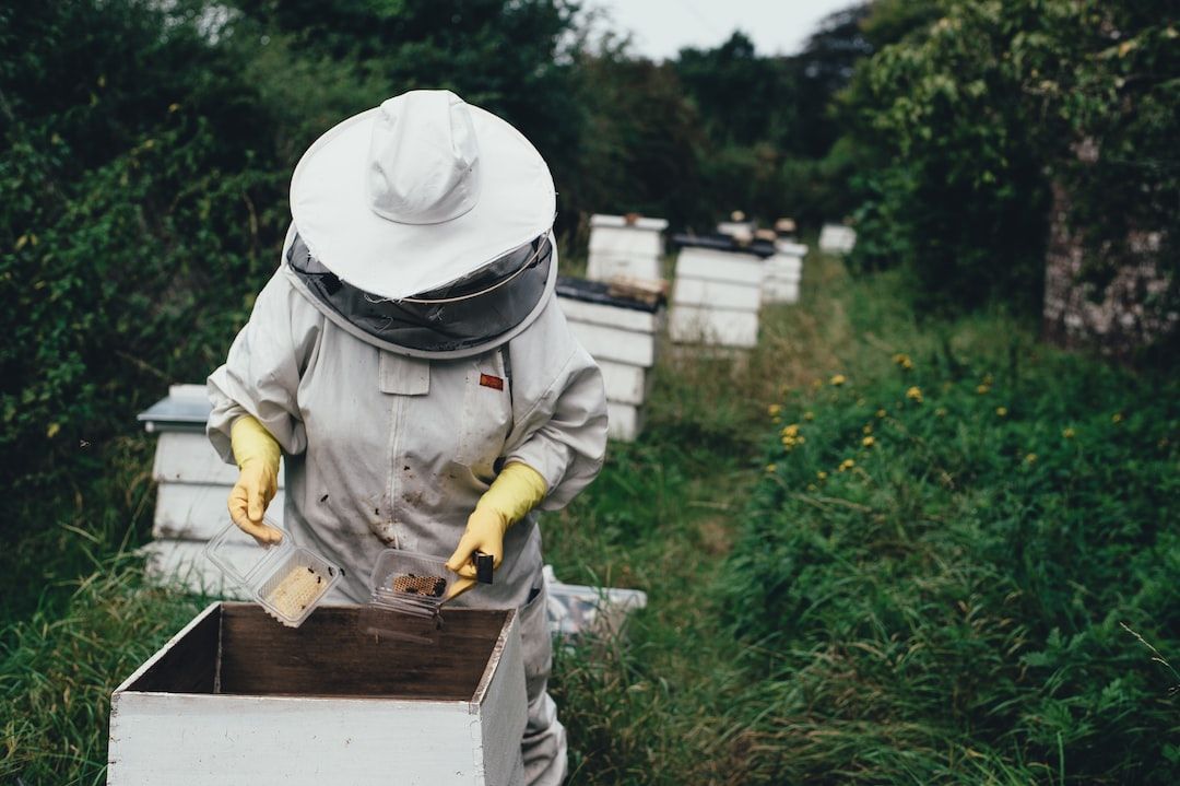 Goth Ihop Ero Honey: The Health Benefits of Honey