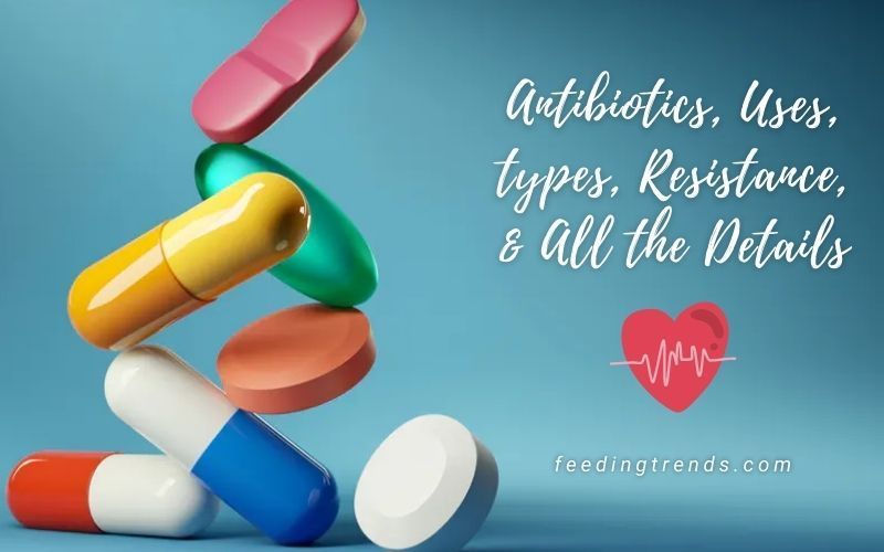 Antibiotics, Their Uses, Types, Resistance, And All The Details