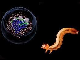 Antifreeze Proteins Market Size, Share and Forecast to 2028