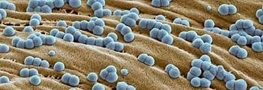 Antimicrobial Textile Market Players Analysis Report Till 2028

